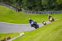 brands-hatch-photographs;brands-no-limits-trackday;cadwell-trackday-photographs;enduro-digital-images;event-digital-images;eventdigitalimages;no-limits-trackdays;peter-wileman-photography;racing-digital-images;trackday-digital-images;trackday-photos